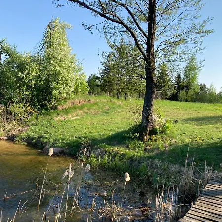 Cisy Ii-idealny Dla Gosci Ze Zwierzetami,ogrodzony Teren Na Wylacznosc,150 M Od Jeziora
