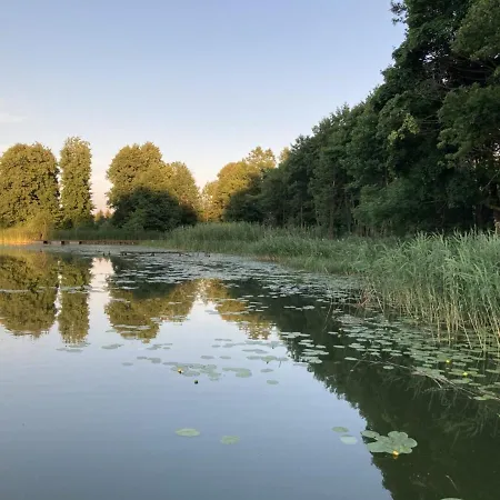 Cisy Ii-idealny Dla Gosci Ze Zwierzetami,ogrodzony Teren Na Wylacznosc,150 M Od Jeziora Lodge Elk